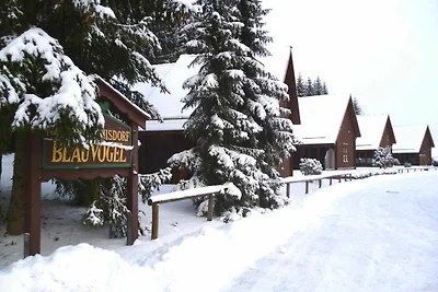 Hotel cultural and sightseeing holiday Oberharz am Brocken