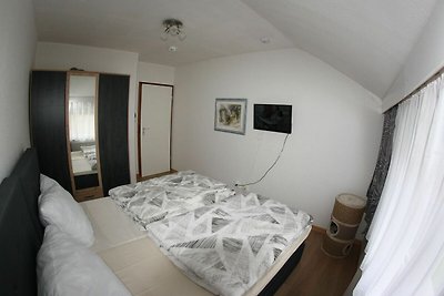 Katzenfreundliche Ferienwohnung