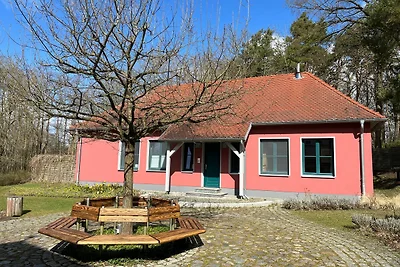 Neu Sammit