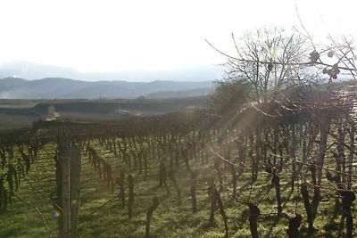 Landvogt Mountain View