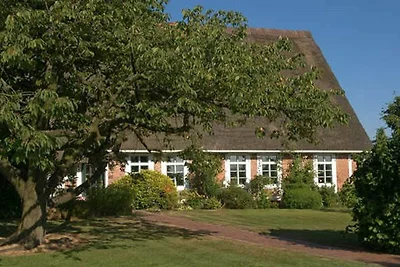 Vakantieappartement Gezinsvakantie Hollern-Twielenfleth