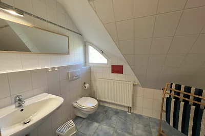 Albergo Cultura ed escursioni Neuenkirchen