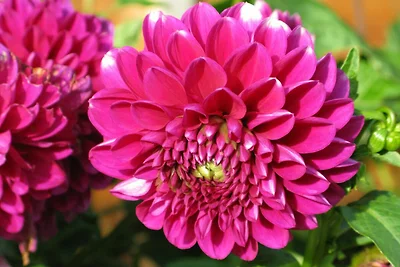 Doppelzimmer Rotwand