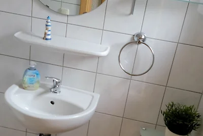 Kleine Möwe