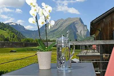 Vakantieappartement Gezinsvakantie Schoppernau