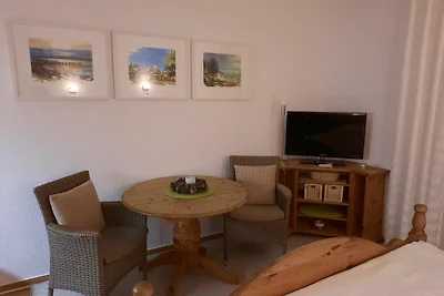 Einraum-Appartement Nr. 7 mit Terrasse