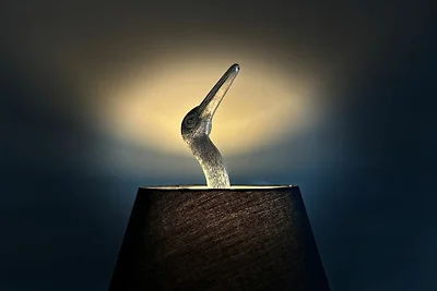 Kranich Quartier Fleesensee OG