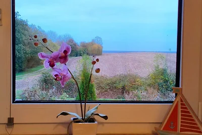 Ferienwohnung Meereszauber