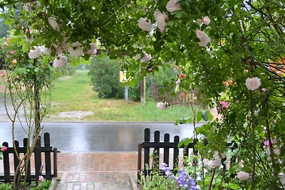 Vakantieappartement Gezinsvakantie Dobbin-Linstow