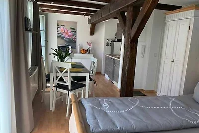 Vakantieappartement Gezinsvakantie Erfurt