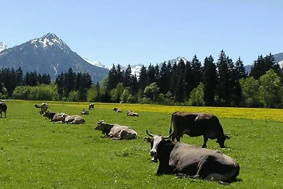 Täubling (1-2 Pers.)