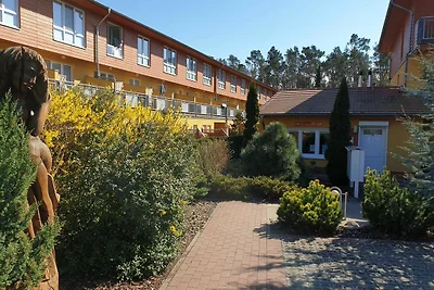 Hotel Cultuur en bezienswaardigheden Zempin