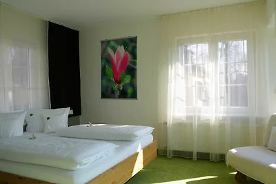 Albergo Cultura ed escursioni Kressbronn