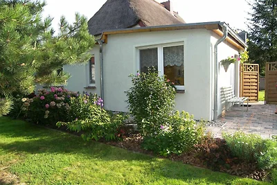 Vakantieappartement Gezinsvakantie Krummin