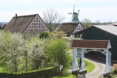 Vakantieappartement Gezinsvakantie Hollern-Twielenfleth