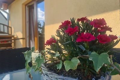 Vakantieappartement Gezinsvakantie Biendorf