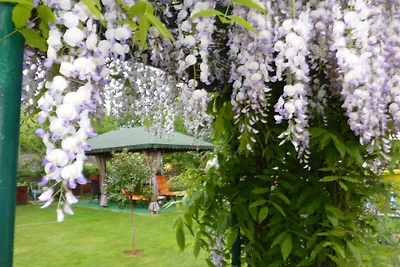 Casa vacanze Vacanza di relax Wittenberg