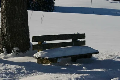 Wiesenblick