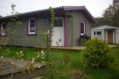 Vakantiehuis Ontspannende vakantie Trassenheide