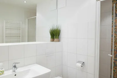 FeWo Lachmöwe A 1.35 Ref. 162722 u 1