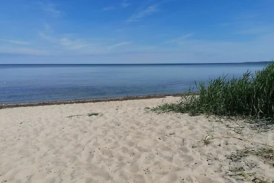 Vakantiehuis Ontspannende vakantie Timmendorf