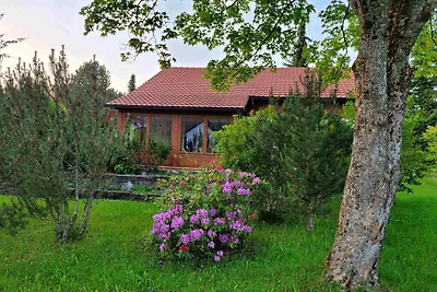 Hotel cultural and sightseeing holiday Nesselwang