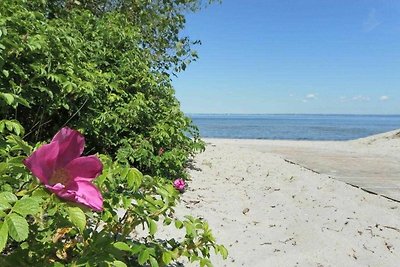 Apartamento Vacaciones familiares Barendorf