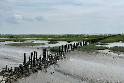 Vakantiehuis Ontspannende vakantie Friedrichskoog