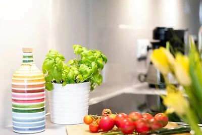 Hafenspitze App. 25 Seebrise