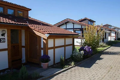 Albergo Cultura ed escursioni Öfingen
