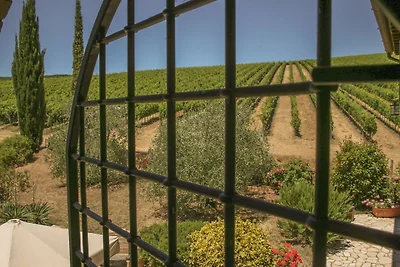 Vakantiehuis Ontspannende vakantie Siena