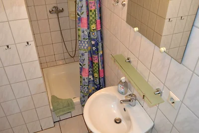 Grauer Esel E5