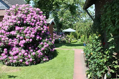 Ferienwohnung Strebel