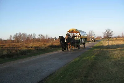 Appartamento Vacanza con famiglia Hiddensee