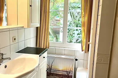 Ferienhaus ?Alte Schmiede?