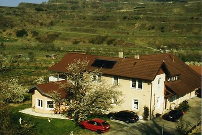 Vakantieappartement Gezinsvakantie Vogtsburg im Kaiserstuhl