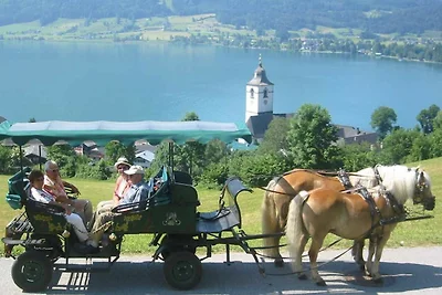 Vakantieappartement Gezinsvakantie St. Wolfgang