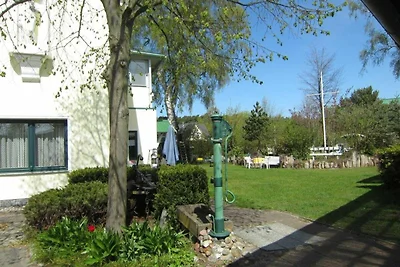 Wohnung 8 (1 Zimmer)