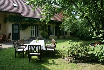Fewo Schlangenkönig