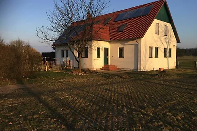 Ferienwohnung Fleesensee Alpaka