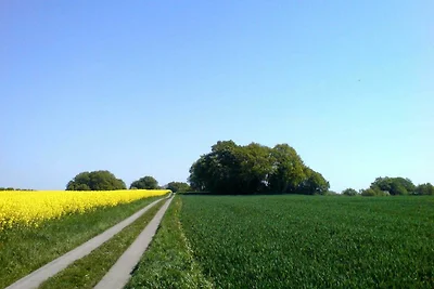 Vakantieappartement Gezinsvakantie Patzig