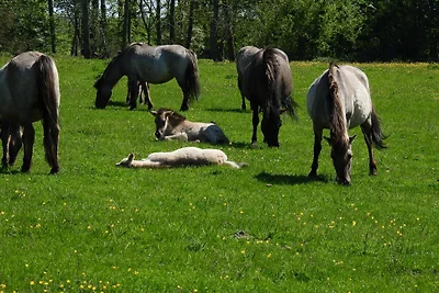 Doppelzimmer 1-4 Personen