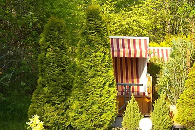 Vakantieappartement Gezinsvakantie Göhren
