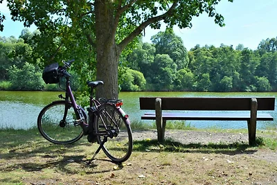 Vakantiehuis Ontspannende vakantie Hooksiel