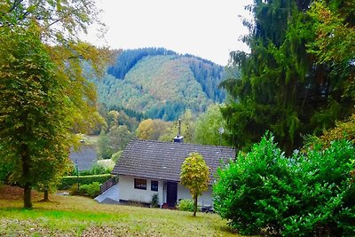 Vakantiehuis Ontspannende vakantie Monschau