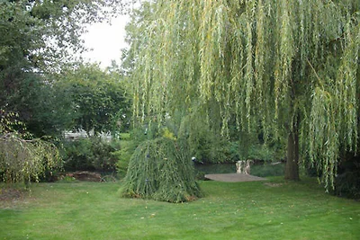 Ferienwohnung, 59 m², Parterre, 1 Schlafraum,...