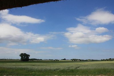 Ferienhaus Felderblick