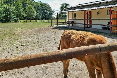 Vakantieappartement Gezinsvakantie Dankerode