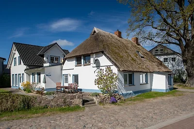 Vakantieappartement Gezinsvakantie Groß Zicker