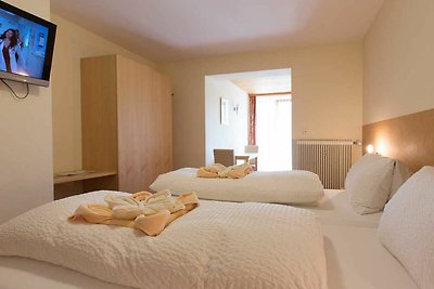 Hotel cultural and sightseeing holiday Lingenau
